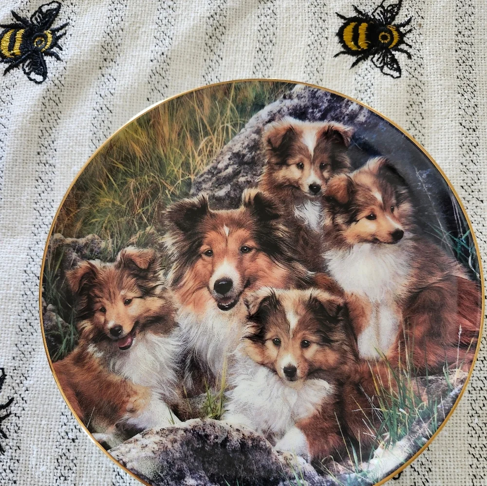 Collectible Shetland Sheepdog Decorative Plates - 3 Piece Set
